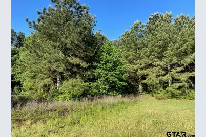 619 W Broadway St., Big Sandy, TX 75755 - Photo 5