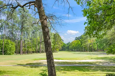 156 Spring Lake Knl, Holly Lake Ranch, TX 75765 - Photo 37