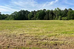 Tbd Cr 2746, Hughes Springs, TX 75656 - Photo 3