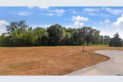 111 Pintail Lane, Troup, TX 75789 - Photo 11