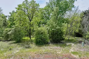 8950 Timber Ridge, LaRue, TX 75770 - Photo 1
