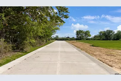 208 E Teal Drive, Troup, TX 75789 - Photo 5