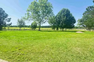 2036 Cr 2807, Alto, TX 75925 - Photo 29