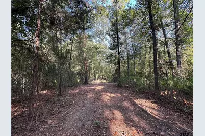 10.13 Acres Fm 852, Gilmer, TX 75644 - Photo 3