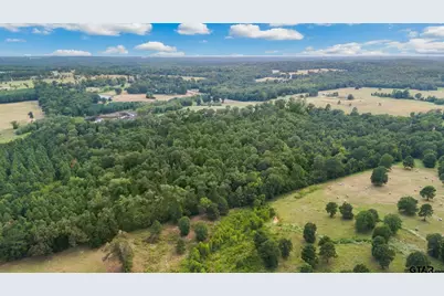 10.13 Acres Fm 852, Gilmer, TX 75644 - Photo 13