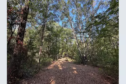 10.13 Acres Fm 852, Gilmer, TX 75644 - Photo 17