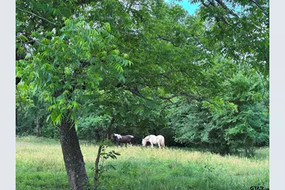 46916 Hwy 69 N, Bullard, TX 75757 - Photo 27