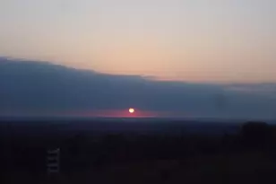 46916 Hwy 69 N, Bullard, TX 75757 - Photo 37