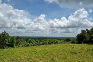 46916 Hwy 69 N, Bullard, TX 75757 - Photo 35