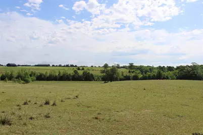 Tbd Wild Daisy Road 50 Acres, Ore City, TX 75683 - Photo 15