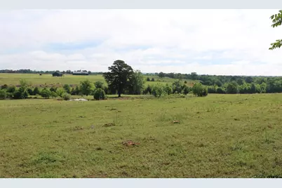 Tbd Wild Daisy Road 50 Acres, Ore City, TX 75683 - Photo 19