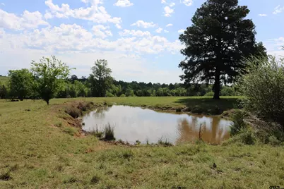 Tbd Wild Daisy Road 50 Acres, Ore City, TX 75683 - Photo 11
