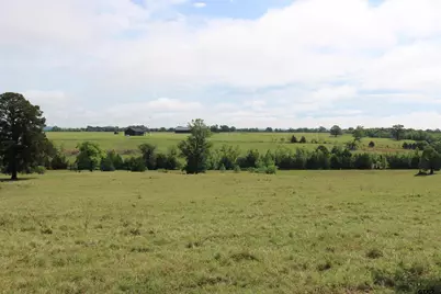 Tbd Wild Daisy Road 50 Acres, Ore City, TX 75683 - Photo 17