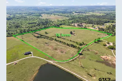 Tbd Wild Daisy Road 50 Acres, Ore City, TX 75683 - Photo 1