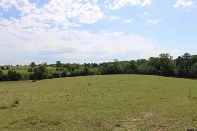 Tbd Wild Daisy Road 50 Acres, Ore City, TX 75683 - Photo 23