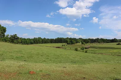 Tbd Wild Daisy Road 50 Acres, Ore City, TX 75683 - Photo 7