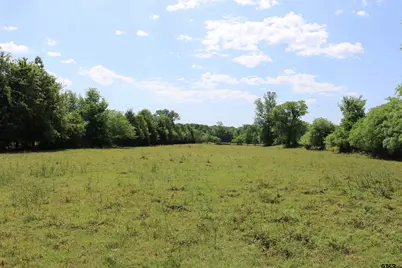 Tbd Wild Daisy Road 50 Acres, Ore City, TX 75683 - Photo 9