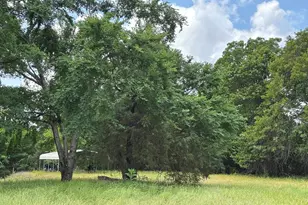 46916 Hwy 69 N, Bullard, TX 75757 - Photo 29