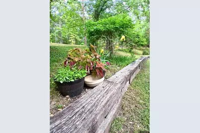 1069 Cr 1596, Avinger, TX 75630 - Photo 35