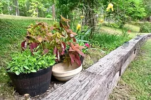 1069 Co Rd 1596, Avinger, TX 75630 - Photo 35