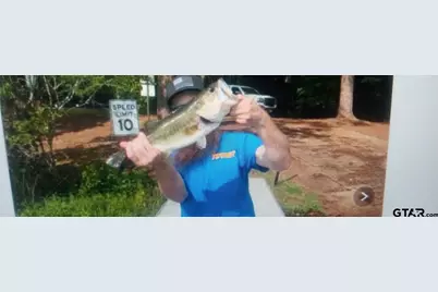 1069 Cr 1596, Avinger, TX 75630 - Photo 41