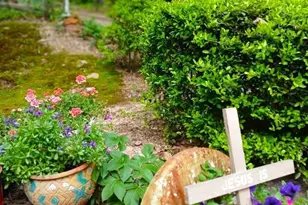 1069 Co Rd 1596, Avinger, TX 75630 - Photo 39