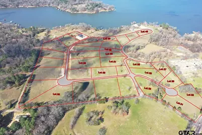 Tbd Lot 50 Southshores, Pittsburg, TX 75686 - Photo 3