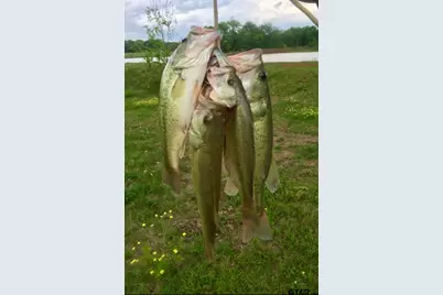 535 Cr 1710, Grapeland, TX 75844 - Photo 33