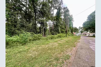 501 Charlya Dr, Bullard, TX 75757 - Photo 5