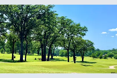 4212 Hogan Dr., Tyler, TX 75709 - Photo 5