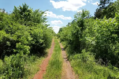 Tbd County Road 3206, Mt Enterprise, TX 75681 - Photo 11