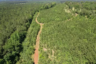 Tbd County Road 3206, Mt Enterprise, TX 75681 - Photo 9