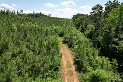 Tbd County Road 3206, Mt Enterprise, TX 75681 - Photo 13