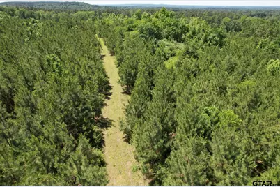 Tbd County Road 3206, Mt Enterprise, TX 75681 - Photo 7