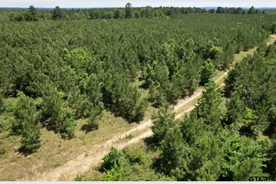 Tbd County Road 3206, Mt Enterprise, TX 75681 - Photo 15