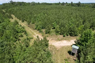 Tbd County Road 3206, Mt Enterprise, TX 75681 - Photo 1