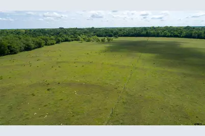 2729 Tx 37, Mt Vernon, TX 75457 - Photo 7