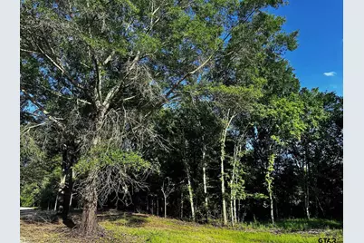 Tract B / 231 Private Road 8507, Van, TX 75790 - Photo 5
