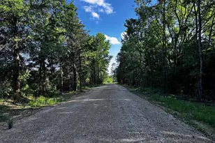 Tract B / 231 Private Road 8507, Van, TX 75790 - Photo 1