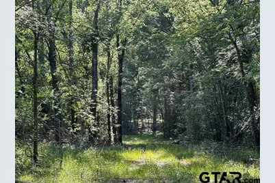 Tract B / 231 Private Road 8507, Van, TX 75790 - Photo 3