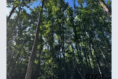 Tract H/ 333 Private Rd 8506, Van, TX 75790 - Photo 3