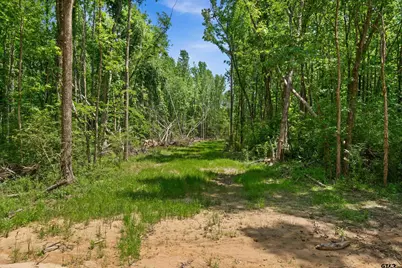 Tract I/ 599 Private Road 8507, Van, TX 75790 - Photo 5