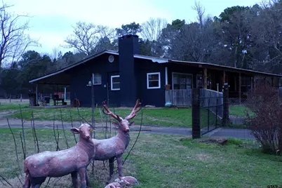 7905 N Fm 607, Murchison, TX 75778 - Photo 3