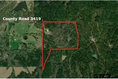 16650 Cr 3419, Brownsboro, TX 75756 - Photo 3