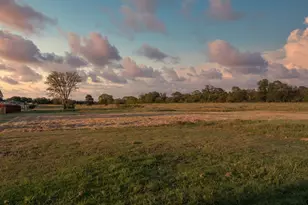 2062 Co Rd 1612, Alba, TX 75410 - Photo 29