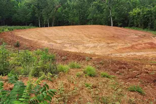 16160 W Vly Vw Ct, Winona, TX 75792 - Photo 1