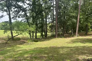 1719 Fm 3052N, Troup, TX 75789 - Photo 37