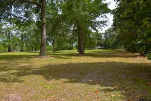 510 E Longview St, Arp, TX 75750 - Photo 47