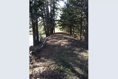 12721 Ridgeway Ct, Winona, TX 75792 - Photo 5