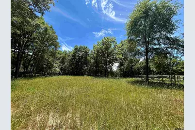 Lot Tr 5B Stevenson Rd, Frankston, TX 75763 - Photo 3